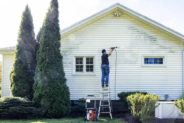 Best Roof Power Washing Services  in Bayard, NE